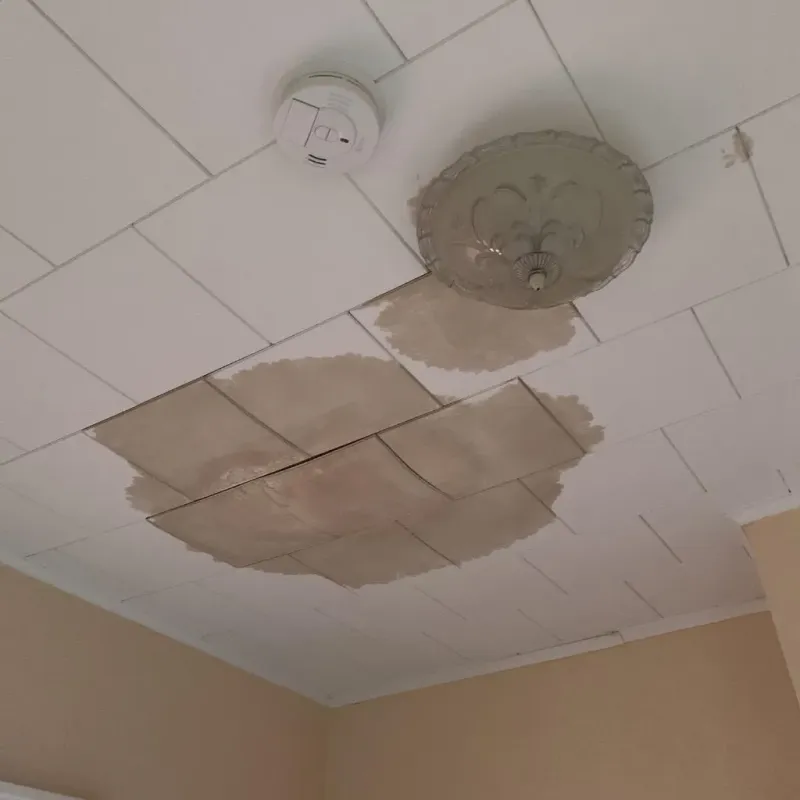 Ceiling Water Damage Repair in Gulf Hills, MS