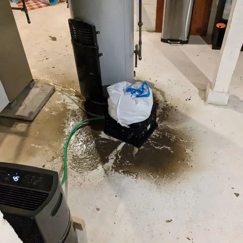 Sewage Backup Cleanup Service in Gulf Hills, MS